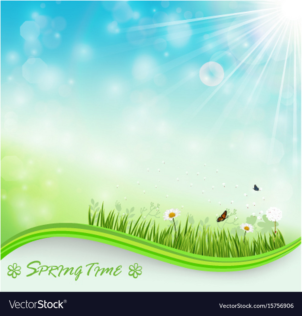 Springtime meadow background