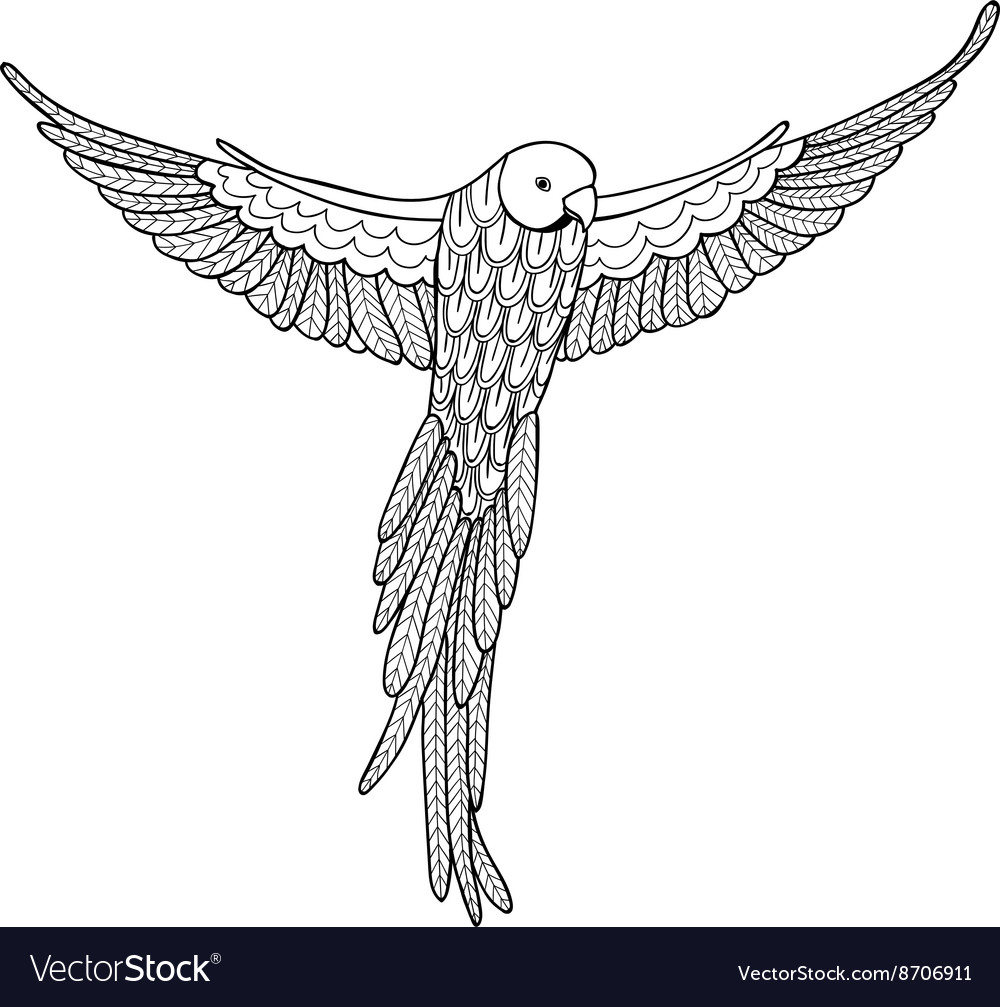 Decorative bird on white