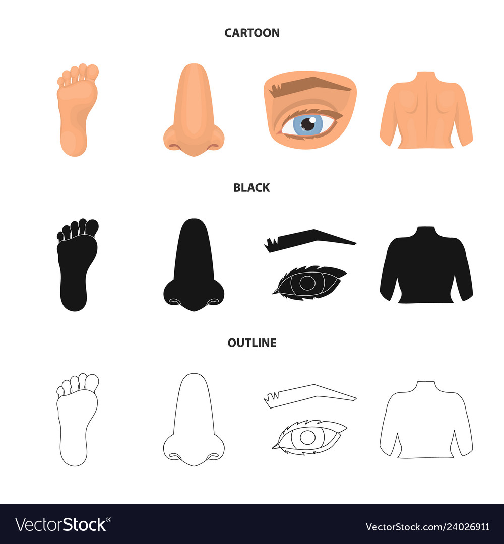 Isolated object of body and part logo set