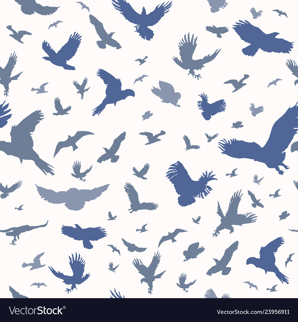 Silhouette of flying birds on white background