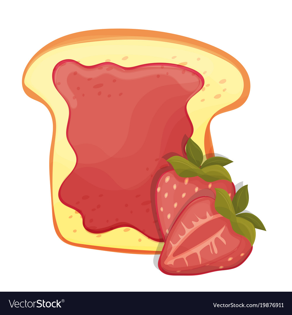 Toasted Bread Slice Of A Sandwich Red Strawberry Vector Image