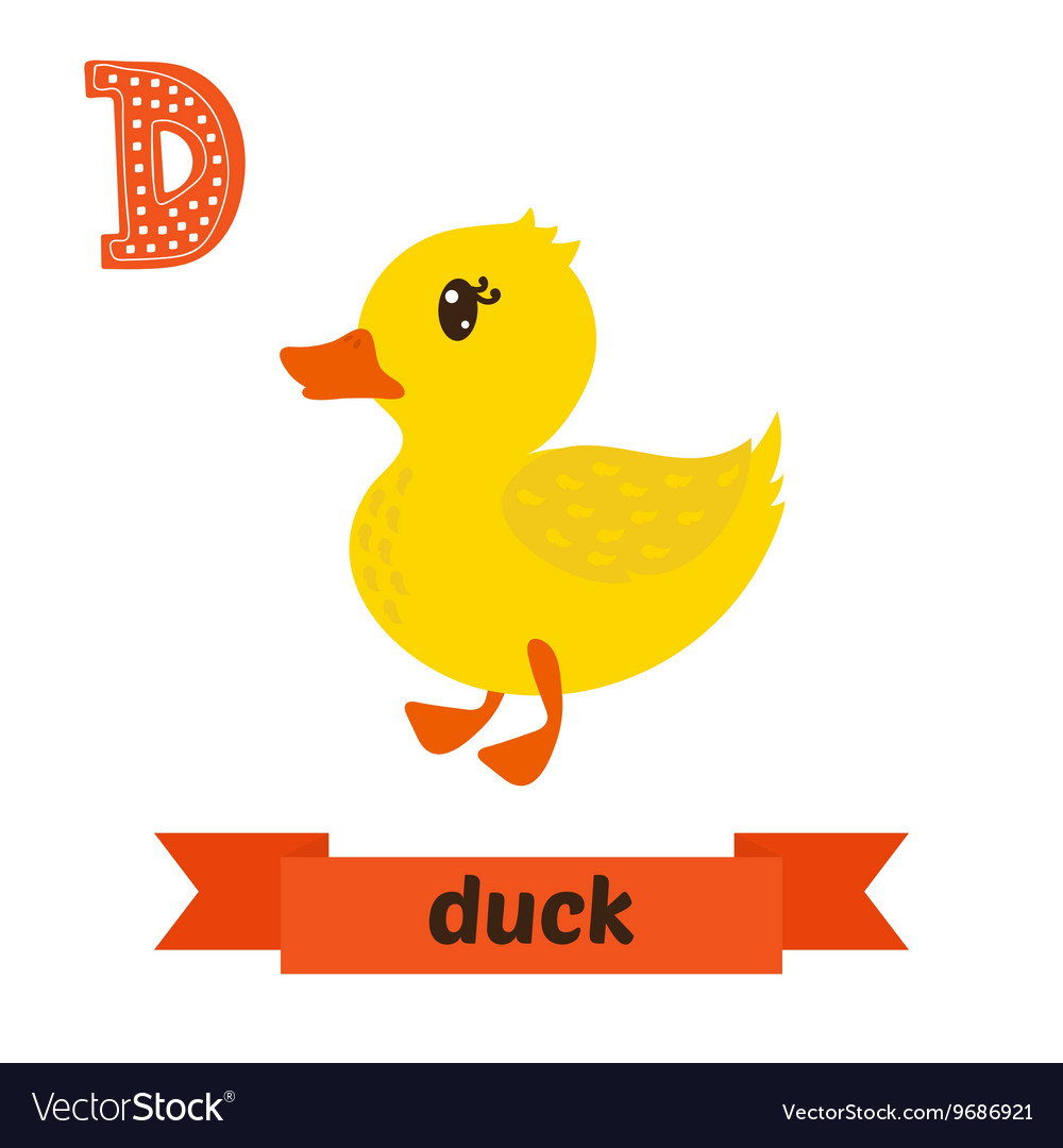 Duck D letter Cute children animal alphabet in Vector Image