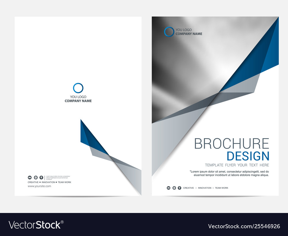 Brochure layout template cover design background Vector Image