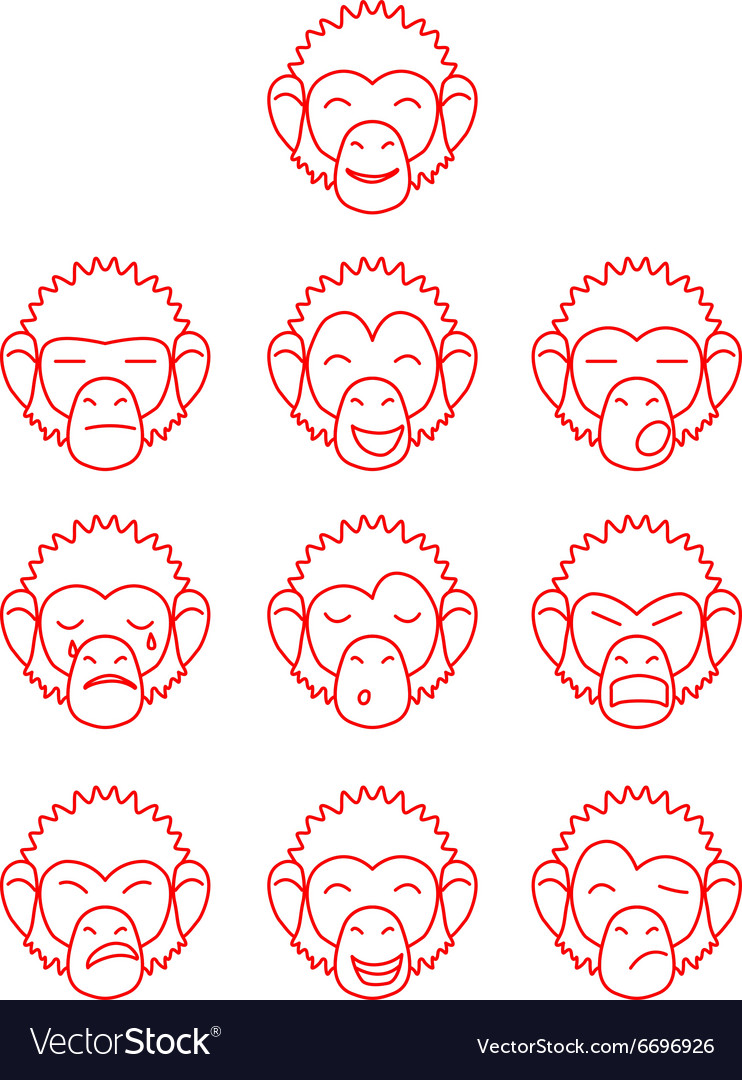 Monkey Face Expressions - Contour