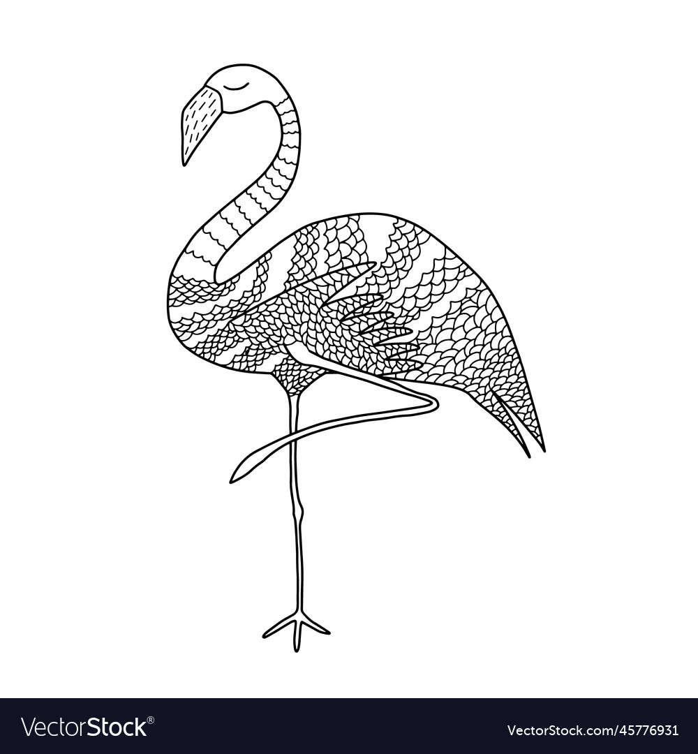 Flamingo coloring page