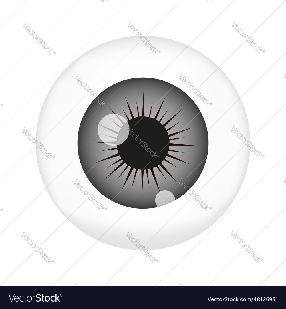 Human eye ball with gray pupil eyeball lens macro Vector Image