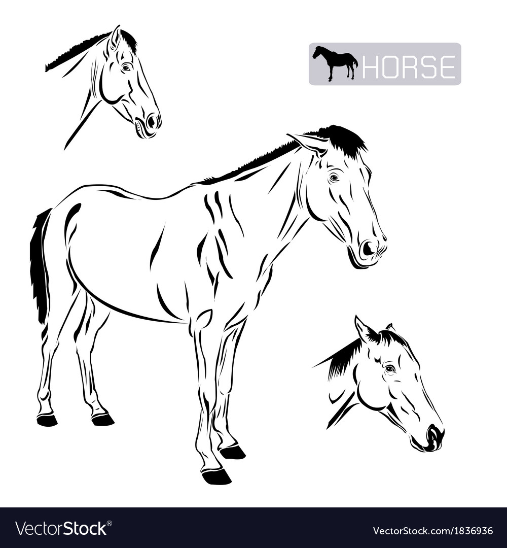 Line art of horse
