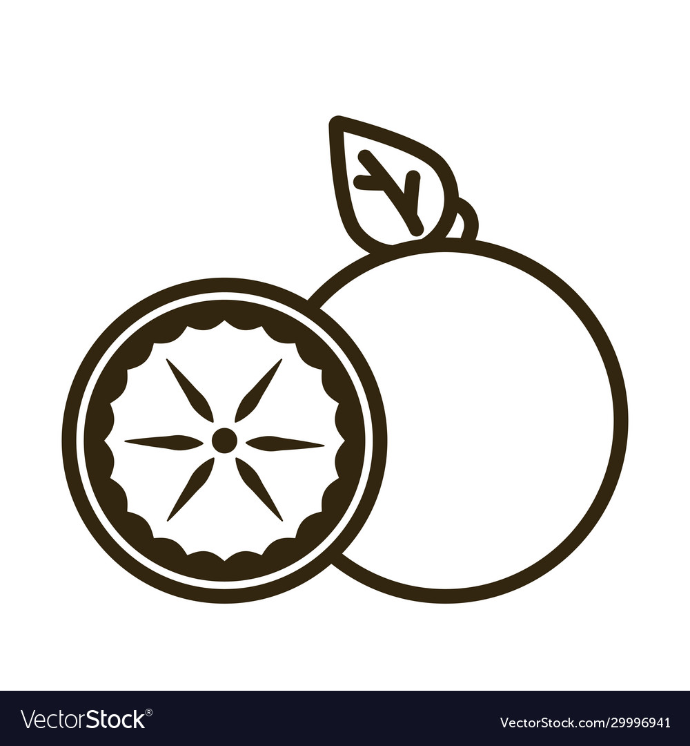 Orange on white background line style icon