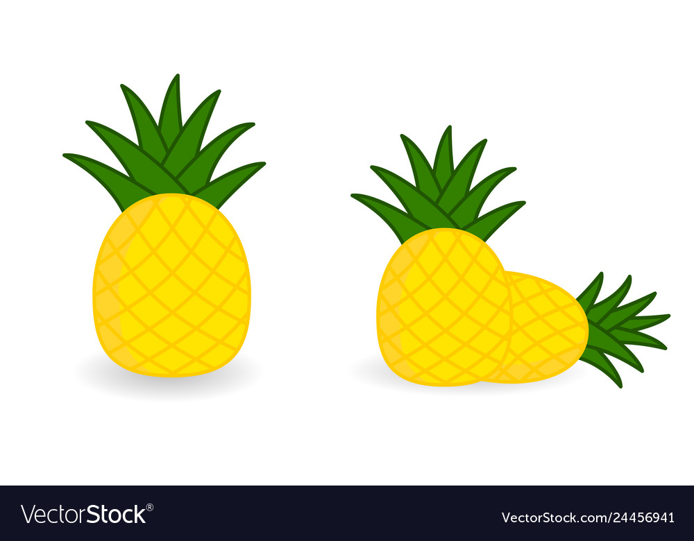 Simple pineapple icon version with single and two