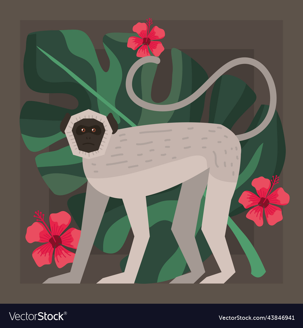 Spider monkey in garden Royalty Free Vector Image