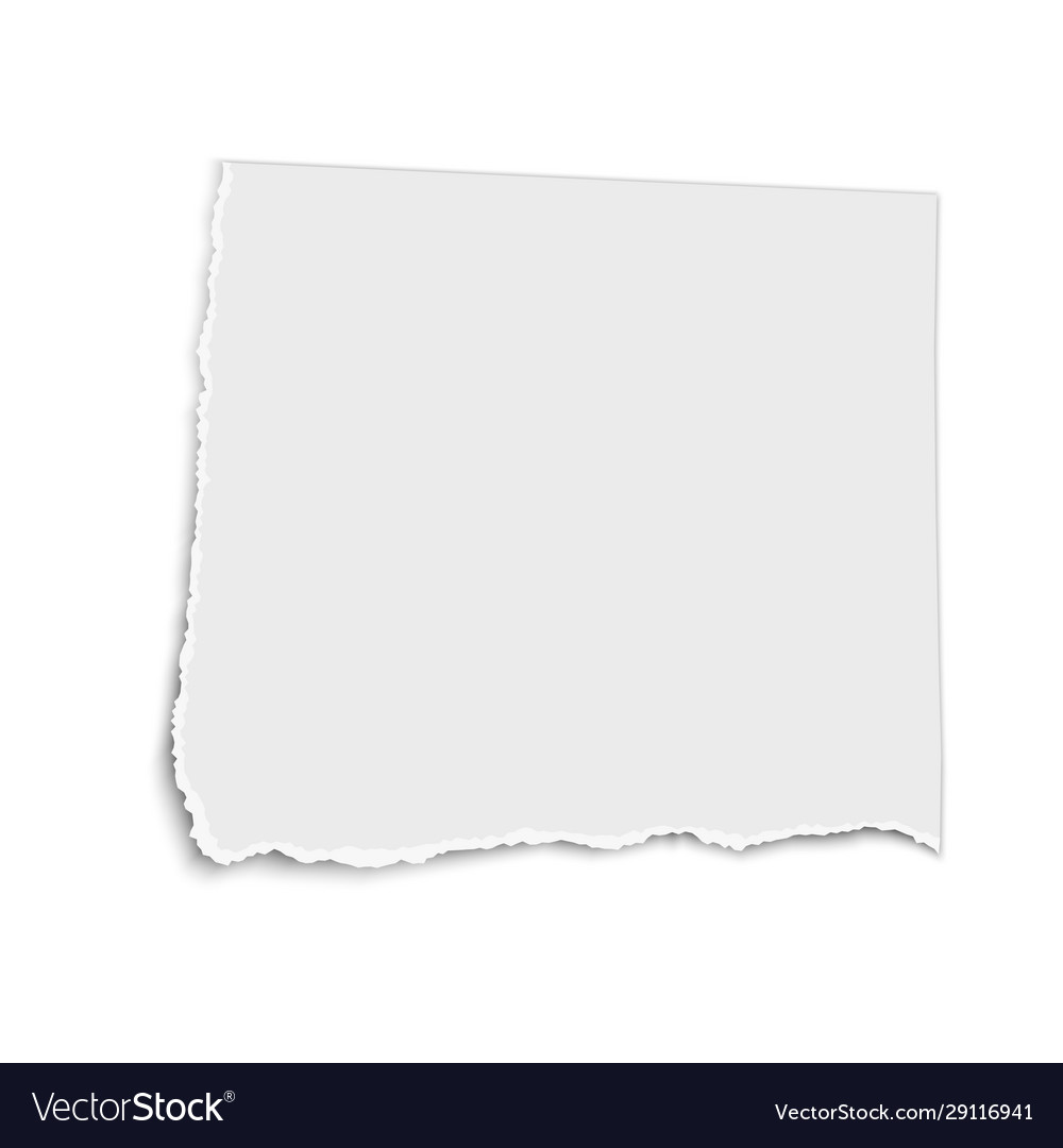 White square paper tear isolated on