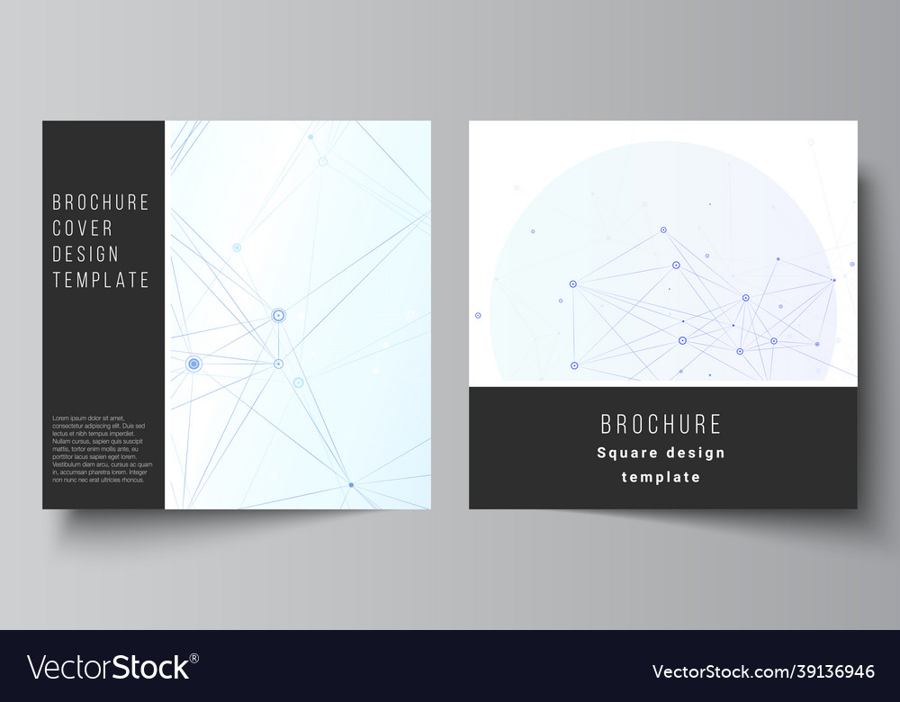 Layout of two square format covers Royalty Free Vector Image