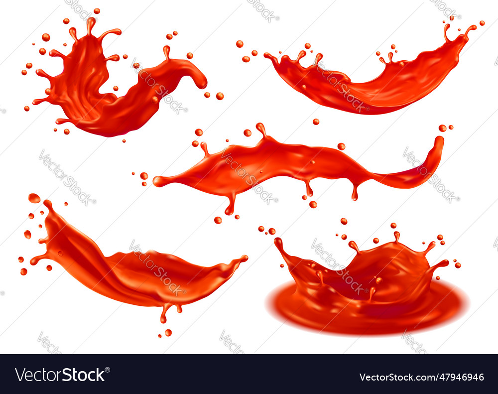 Tomato ketchup sauce splashes red liquid juice Vector Image