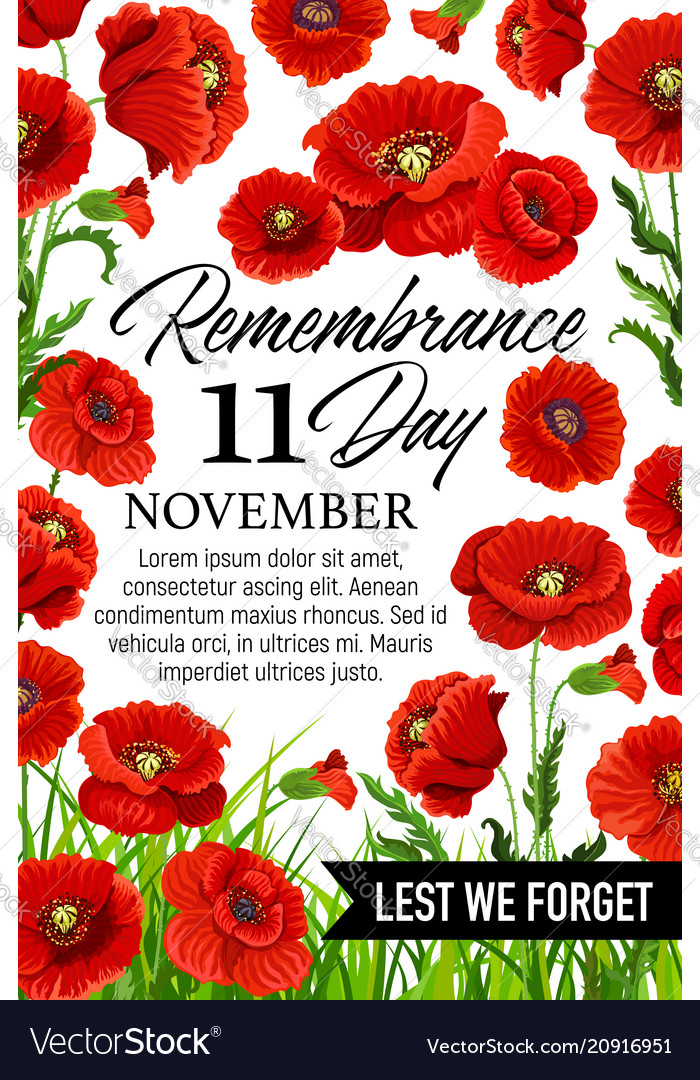 Types Of Remembrance Poppy Nfcjord