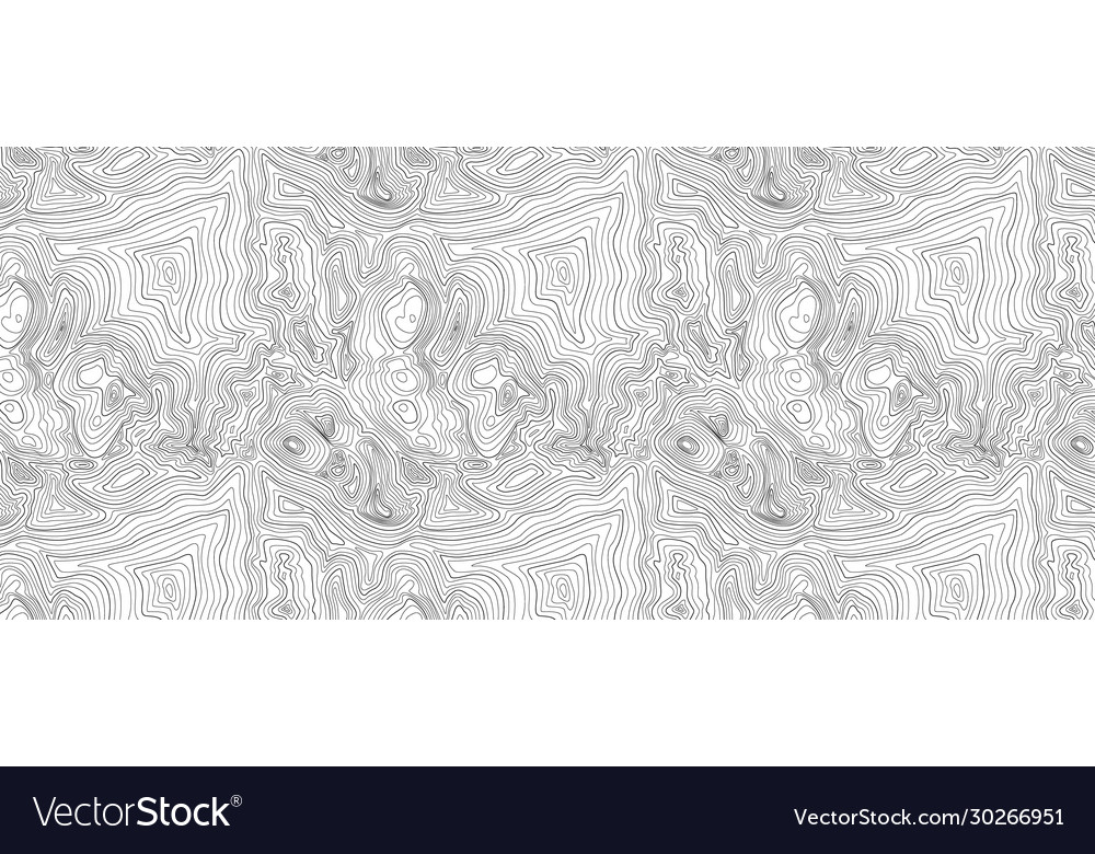 Background topographic map vector image Background topographic map