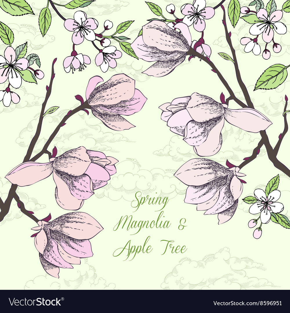 Background with magnolia and apple tree