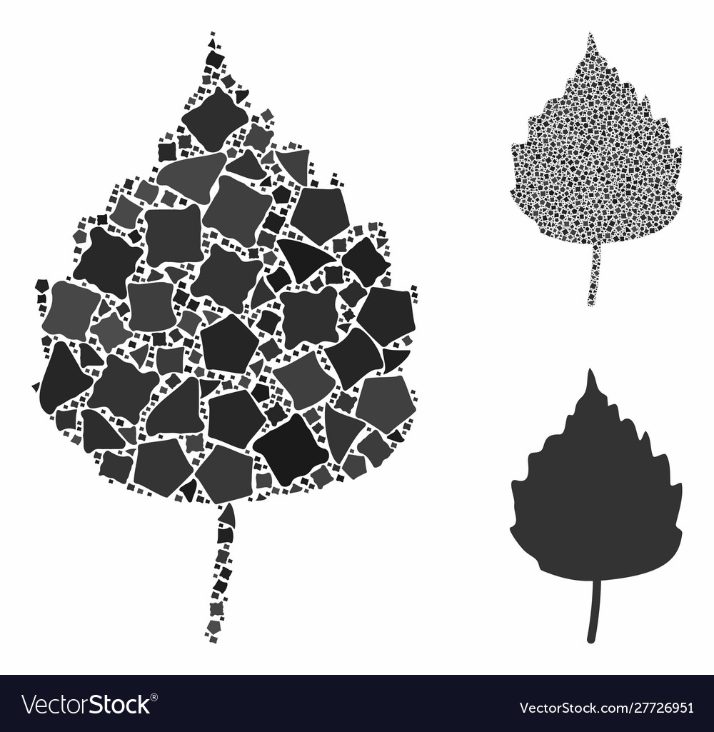 Birch leaf composition icon inequal parts