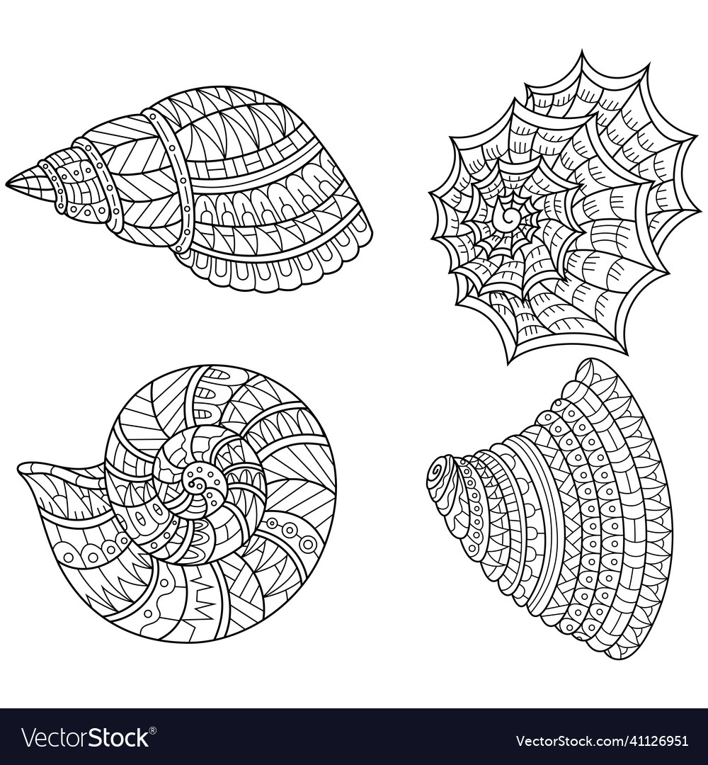 Hand drawn of shells set in entangle style