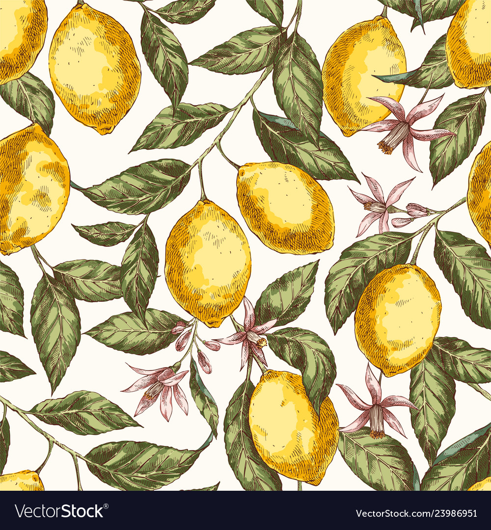 Lemons Hand Drawn Seamless Pattern Royalty Free Vector Image 4922