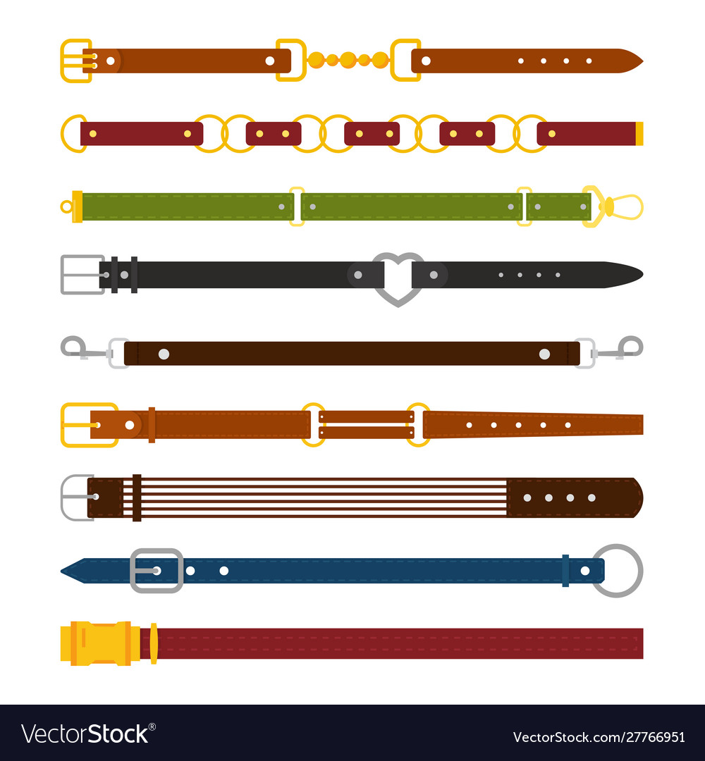männliche und weibliche Gürtel flaches Set vector image männliche und weibliche Gürtel flaches Set