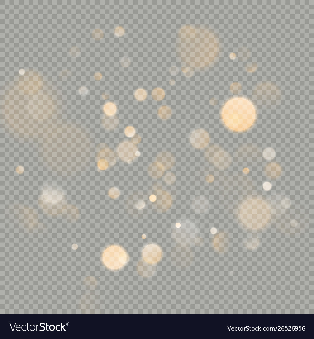 Effect bokeh circles isolated on transparent Vector Image Effect bokeh circles isolated on transparent