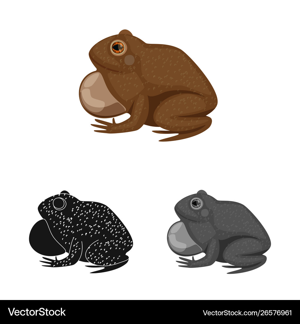 Design toad and biology icon collection Royalty Free Vector