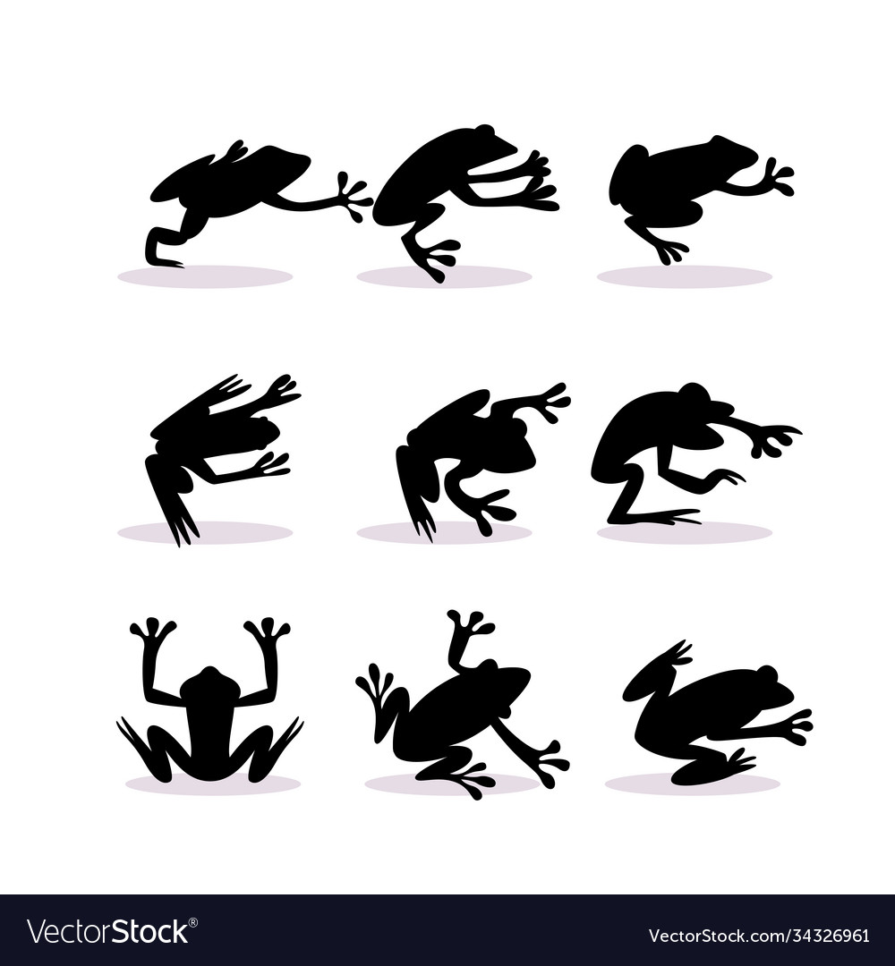 Frog silhouettes set isolated on white background vector image Frog silhouettes set isolated on white background