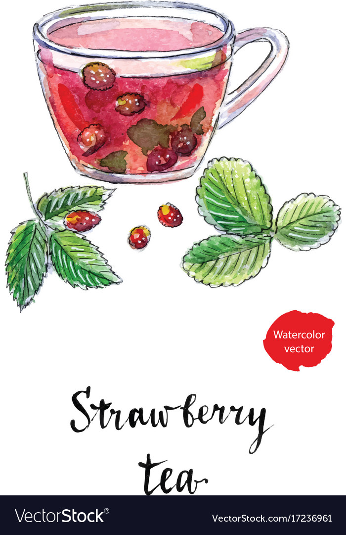 Fruchttee mit wilden Erdbeeren Aquarell