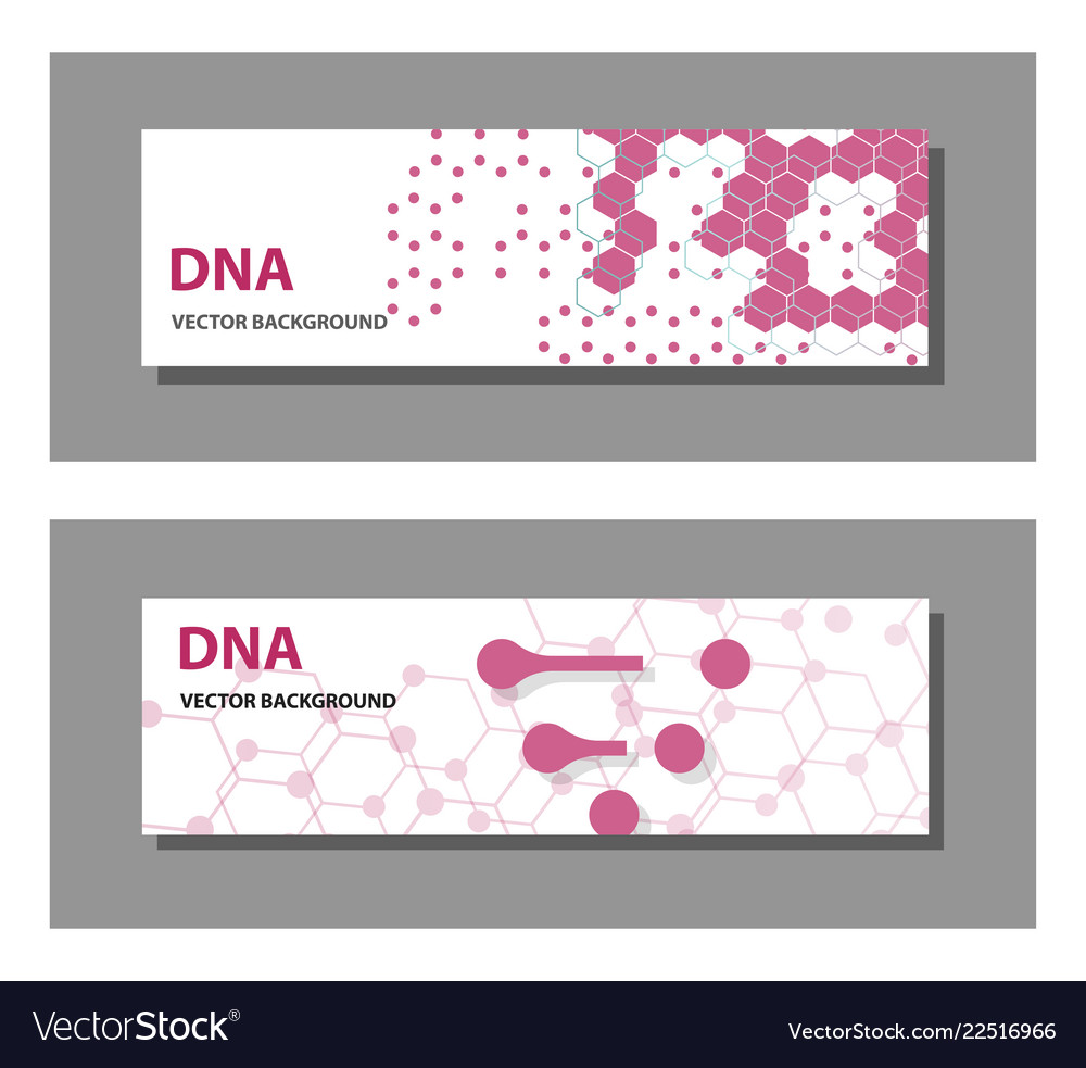Set of 9 templates for presentation slides vector image Set of 9 templates for presentation slides