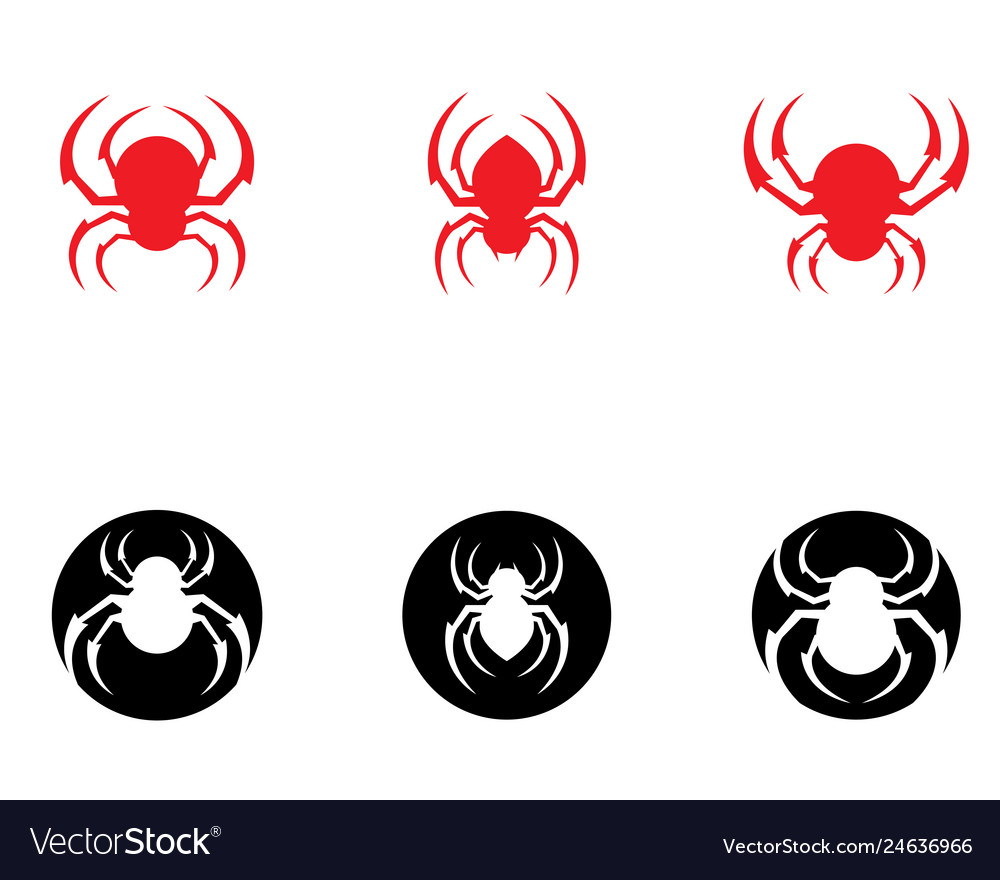 Spider logo icon