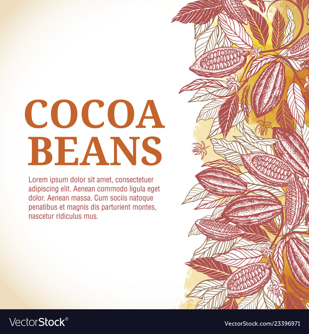 Cacao beans plant exotic plants