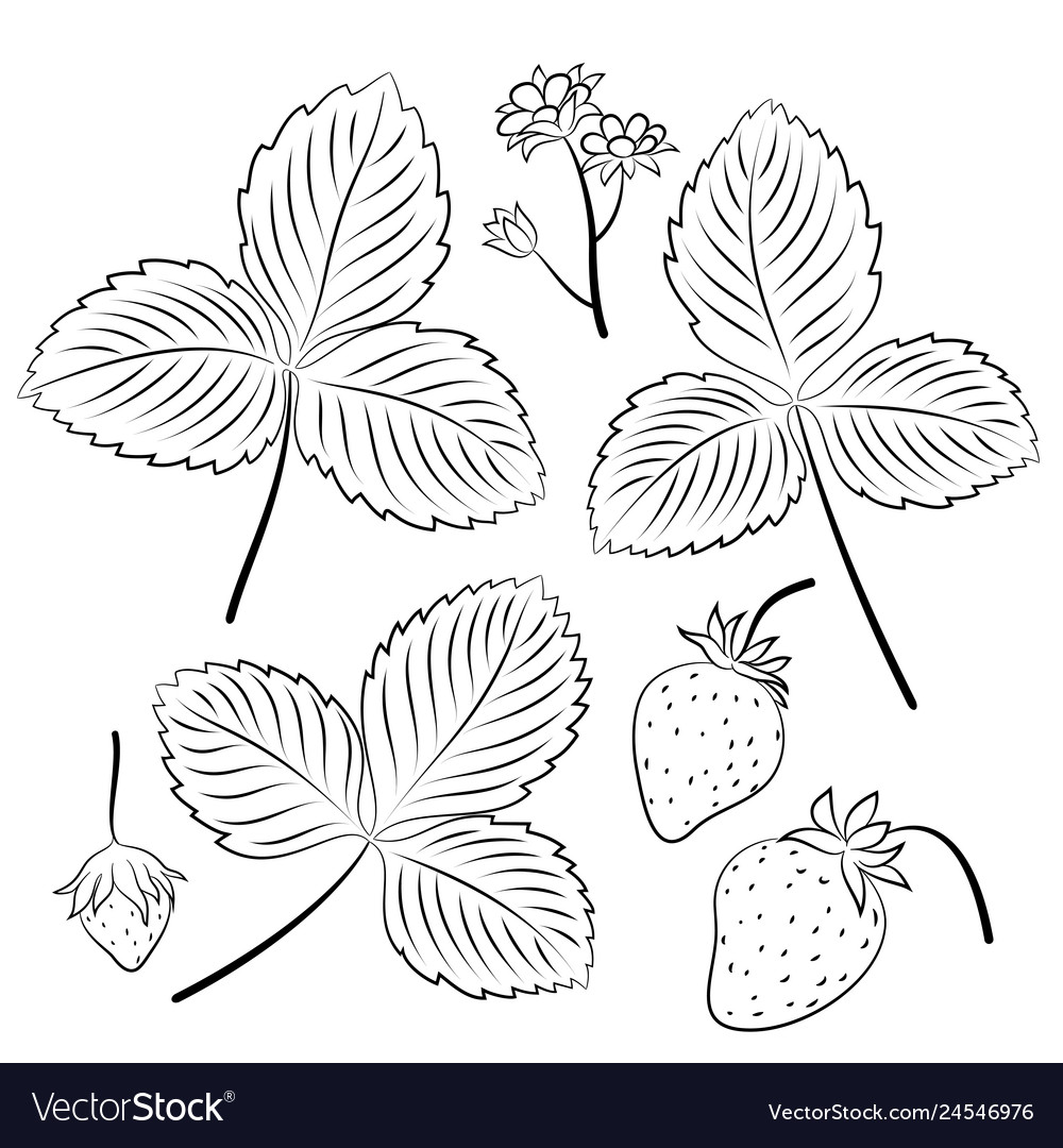 Set of strawberry pictograms