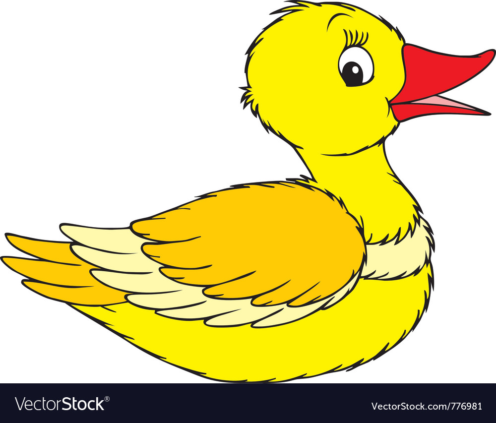 Duck Royalty Free Vector Image - VectorStock