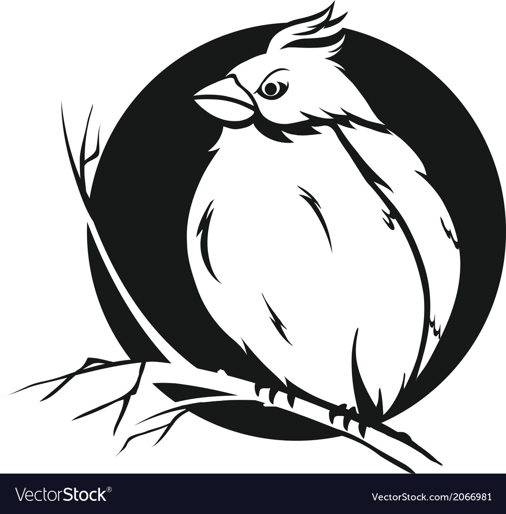 Elegant Bird on Branch