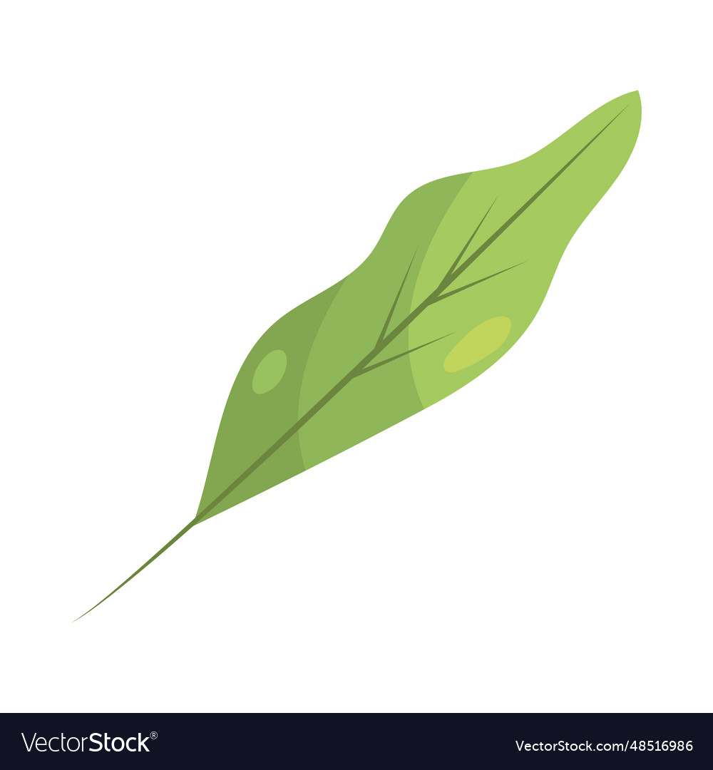 Leaf natural icon Royalty Free Vector Image - VectorStock