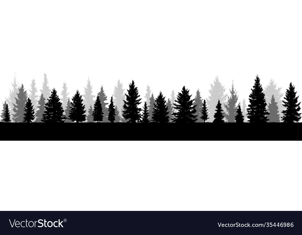 Trees silhouette forest Royalty Free Vector Image