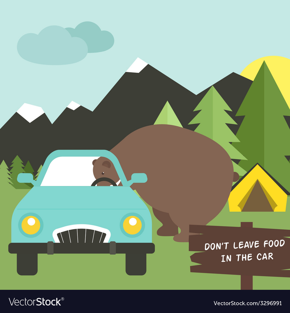 Camping rules