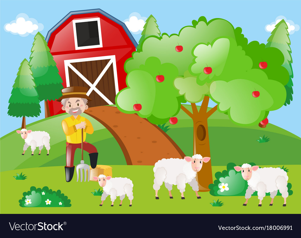 Farmer and sheeps in the field