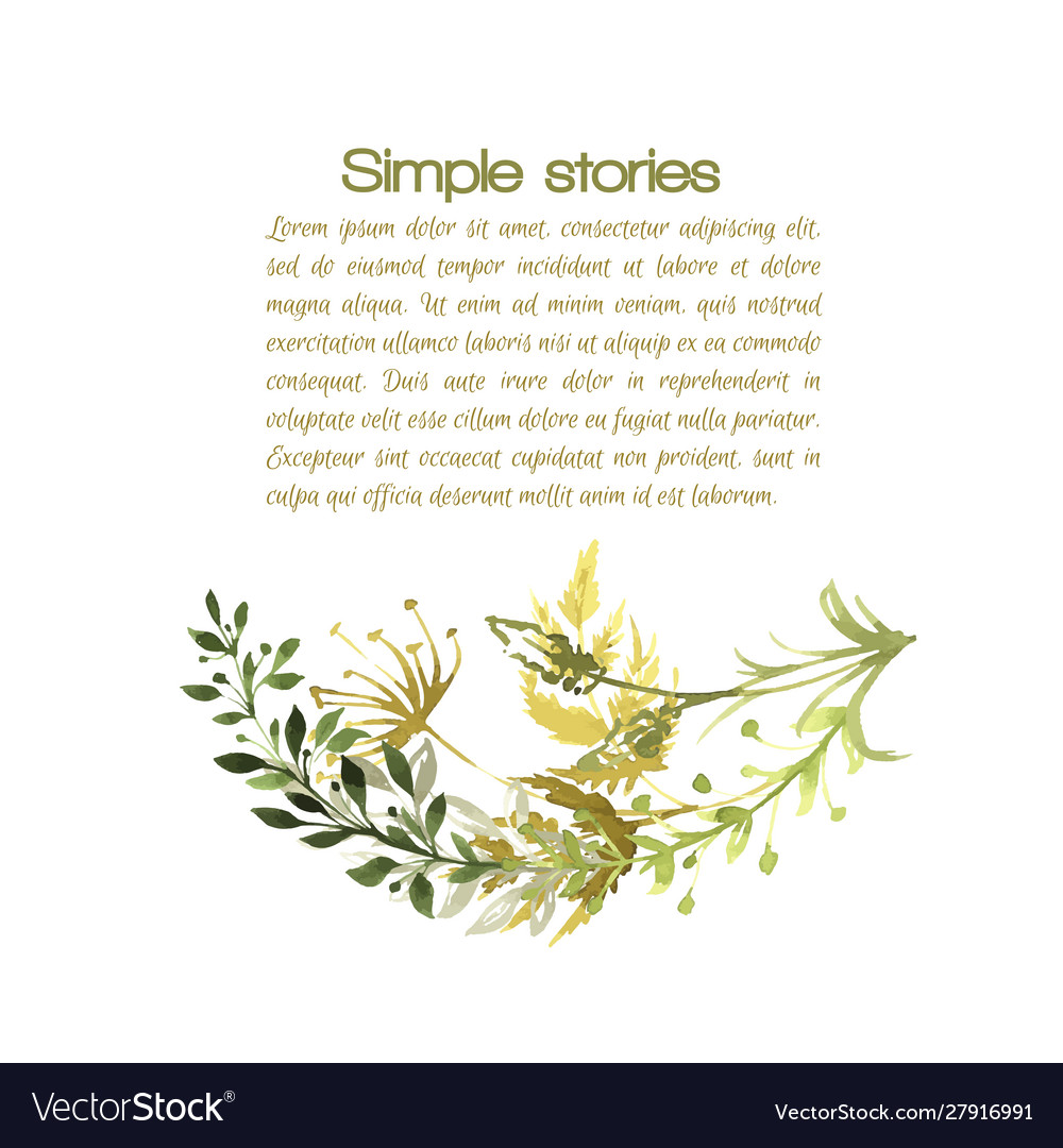 Watercolor herbs and flowers background vector image Watercolor herbs and flowers background