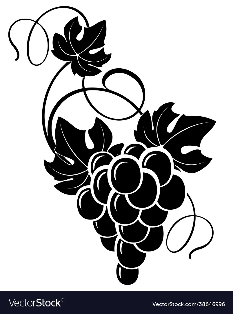 Grapevine design elements