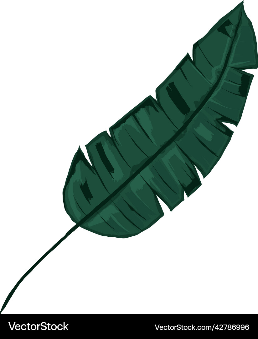 Palm leaf icon Royalty Free Vector Image - VectorStock