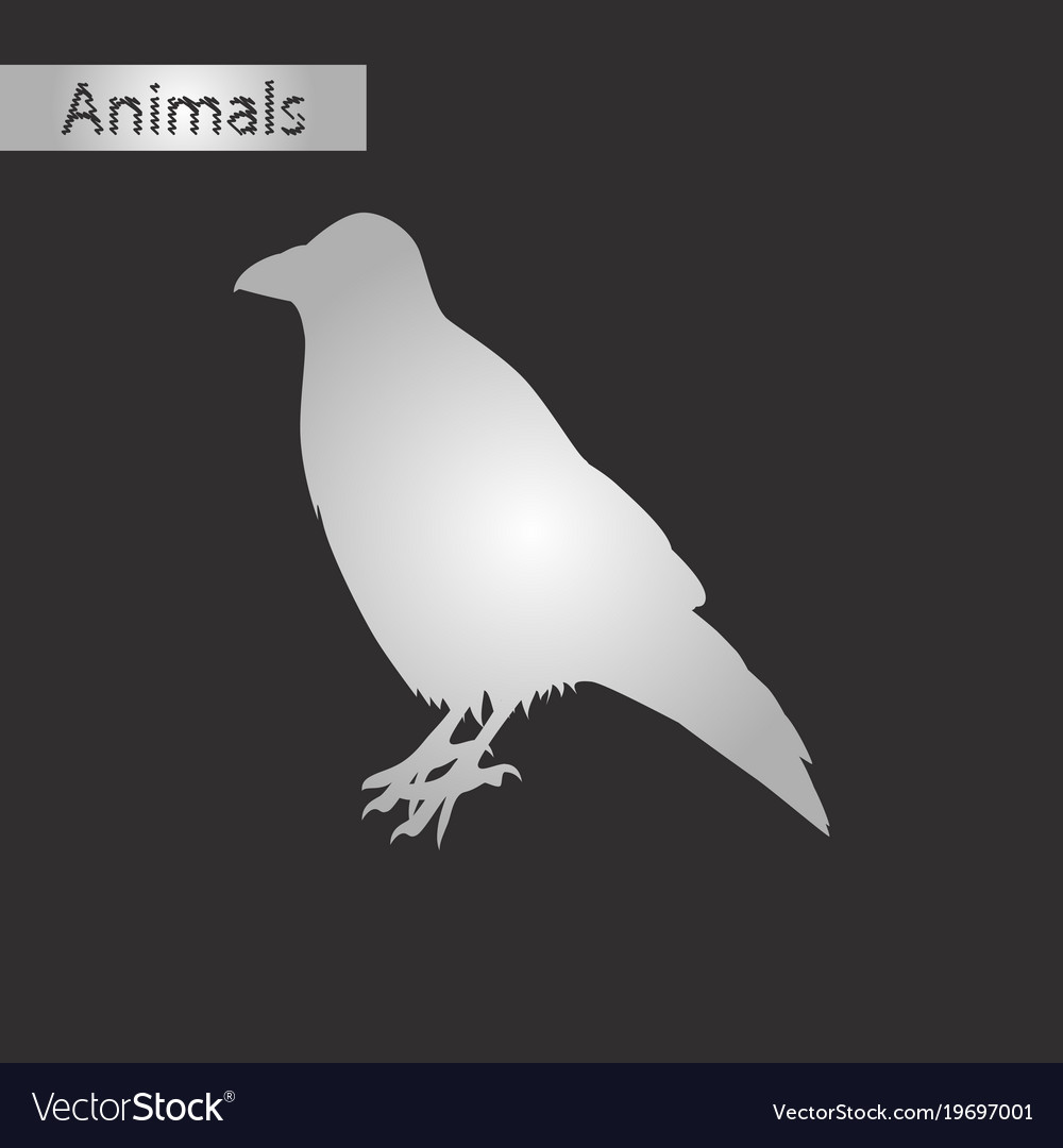Ai crowed. Ai crowed
