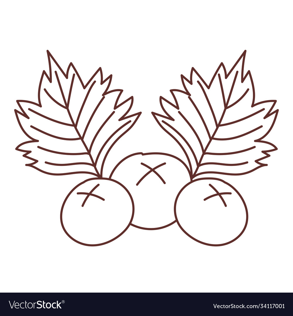 Fruits berries and leaf isolated icon design line