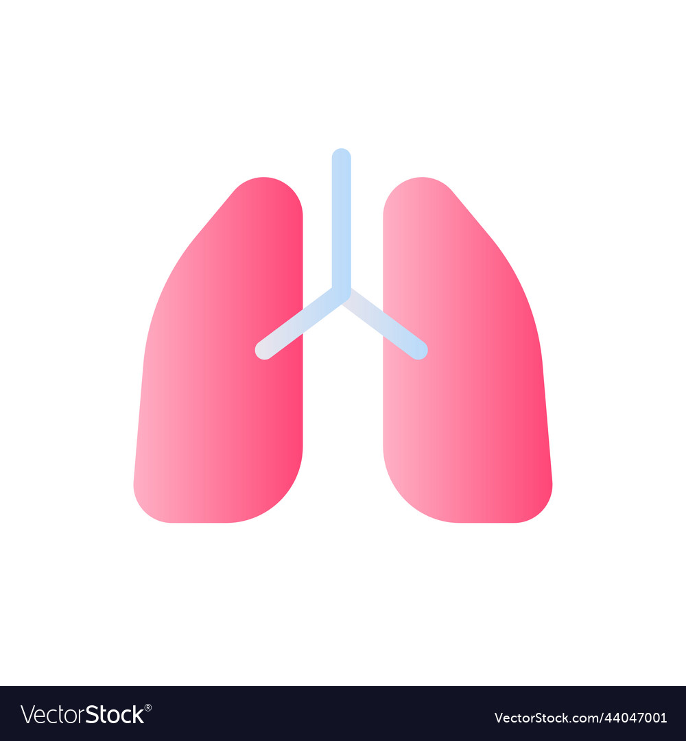 Lungs flat gradient two-color ui icon vector image Lungs flat gradient two-color ui icon