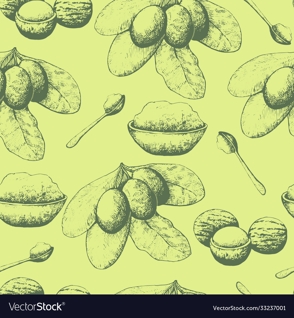 Seamless pattern with shea nuts and butter