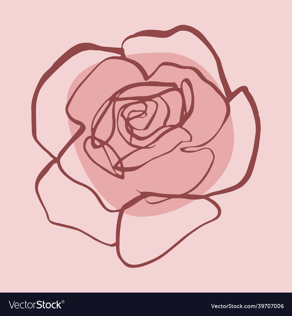 A lovely rose drawn in one line minimalist