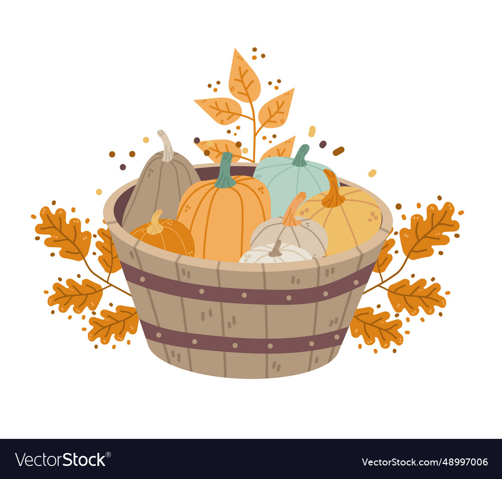 Autumn harvest basket with different pumpkins