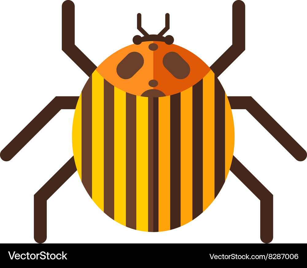 Beetle flat insect bug in cartoon style Royalty Free Vector
