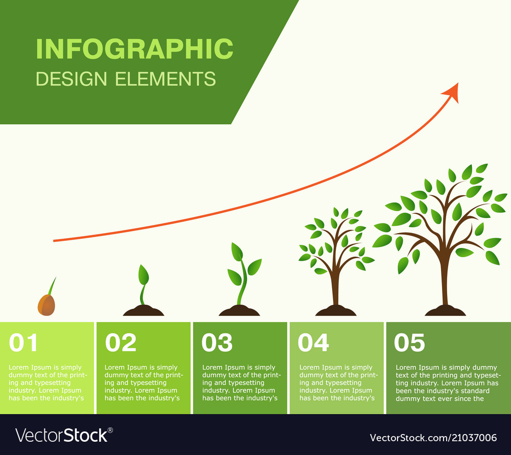 Infographic of planting tree seeds sprout in Vector Image