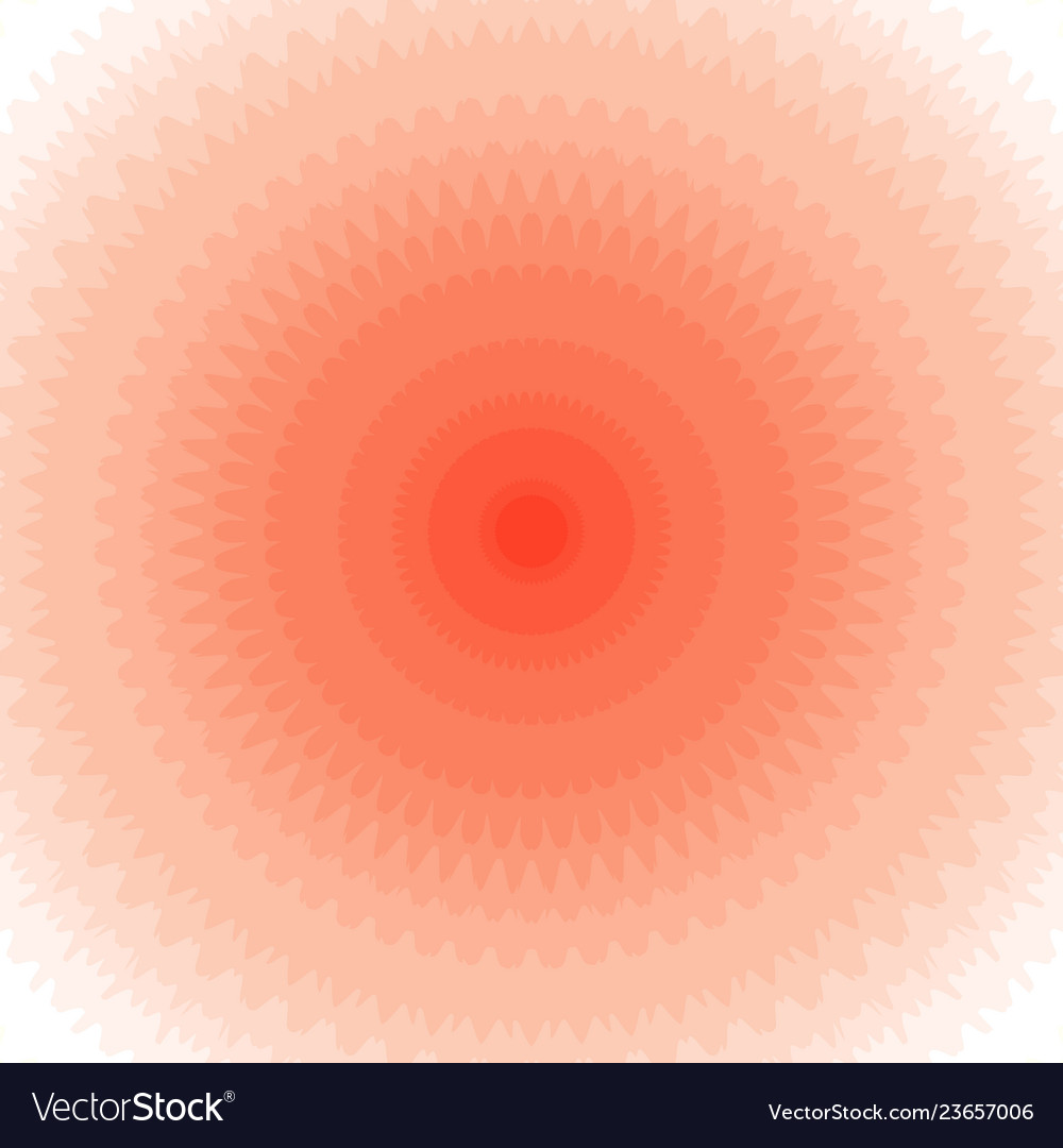 Sunburst rosette with alternating rays of petals vector image Sunburst rosette with alternating rays of petals